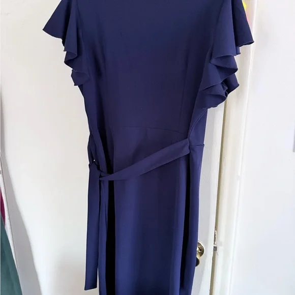 Chic Ruffle Sleeve Midi Dress - Picture 4 of 5
